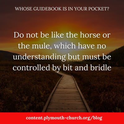 Whose-Guidebook-Is-In-Your-Pocket-Blog-IG